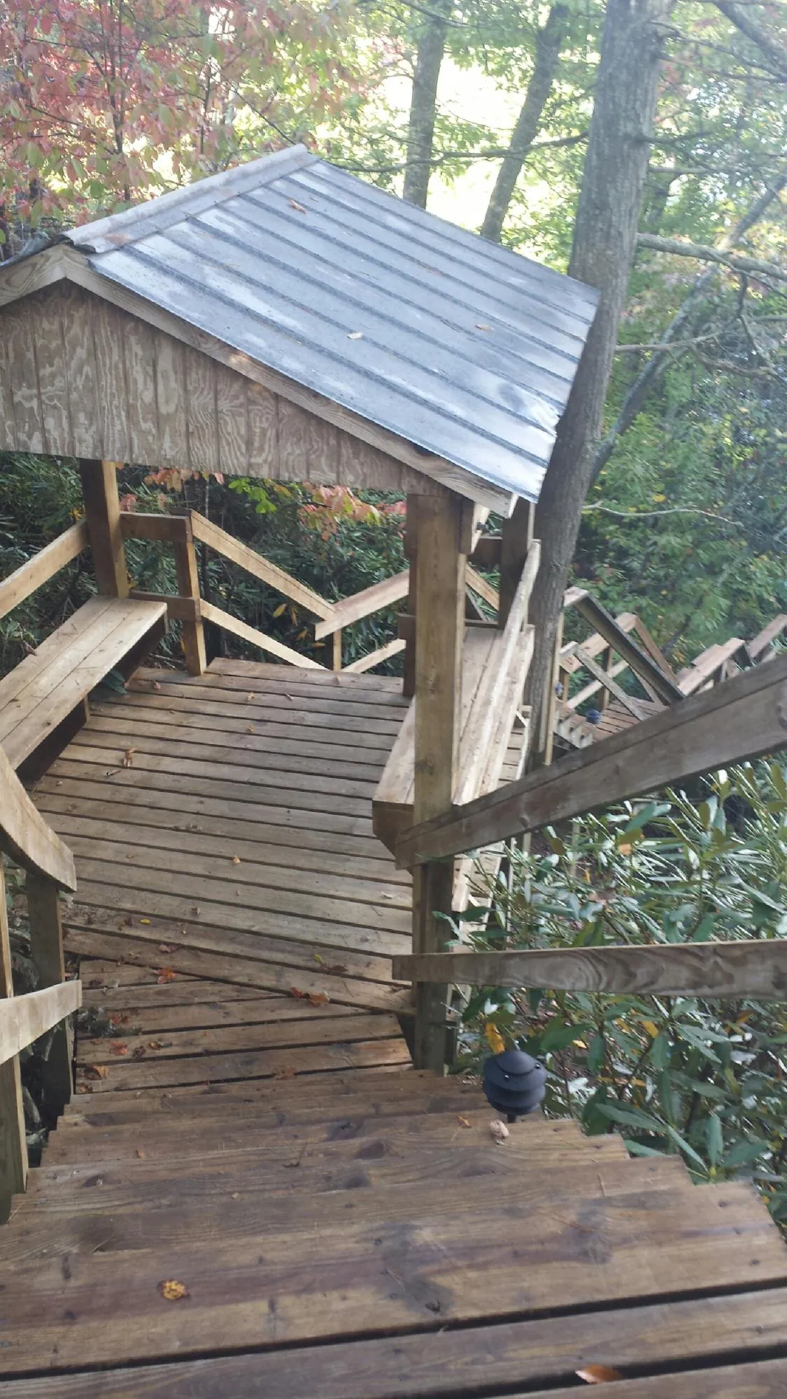 Metal roofed shelter over wooden steps on a wooded walkway — Skylight Repair & Installation work by our crew in Mineral Wells